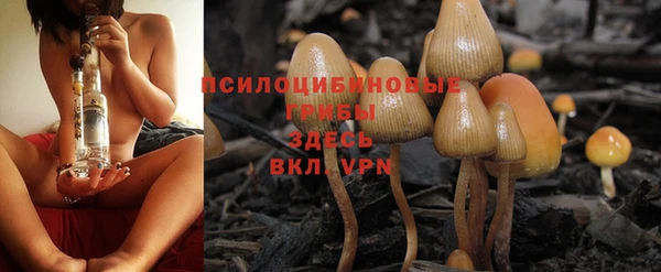 MESCALINE Мегион
