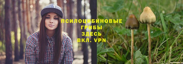 jwh Медногорск